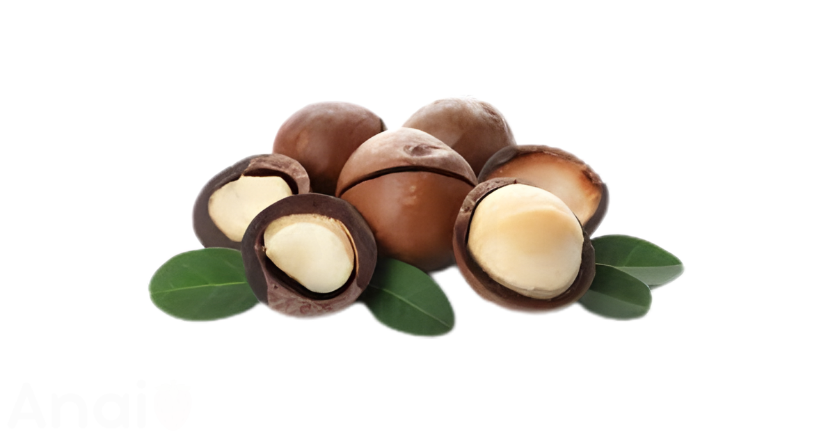 A close-up picture of macadamia nuts related to macadamia nut nutrition facts, in white background.