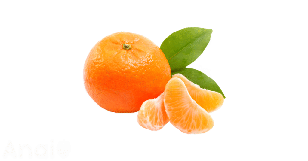 A close-up picture of mandarins related to mandarin nutrition facts, in white background.