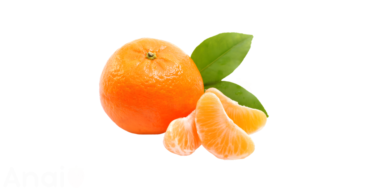 A close-up picture of mandarins related to mandarin nutrition facts, in white background.