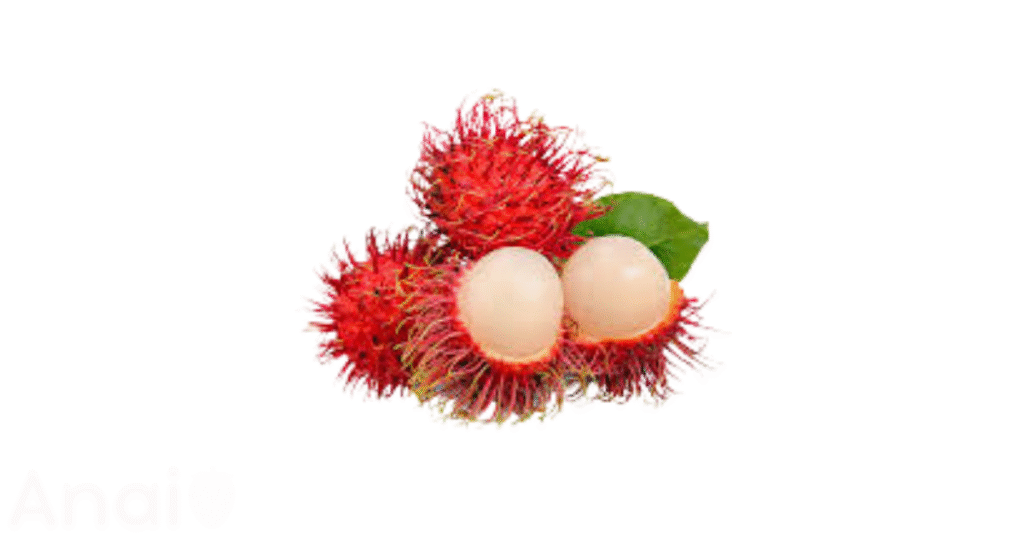 Studio photos of the most common lychee substitutes and lychee alternatives.