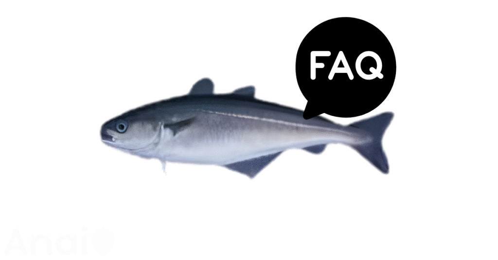 A pic of fresh pollock next to a black banner for pollock nutrition FAQs.