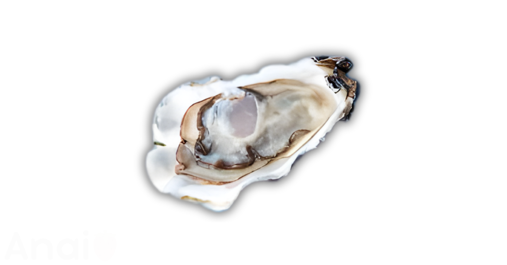 Studio photos of the most common clam substitutes and clam alternatives.