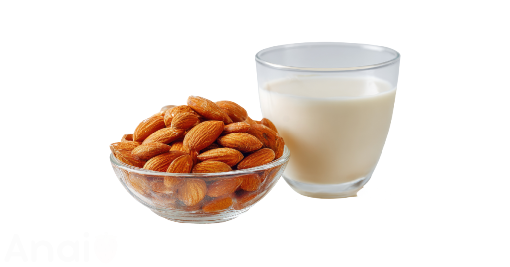 Studio photos of the most common coconut milk substitutes and coconut milk alternatives.