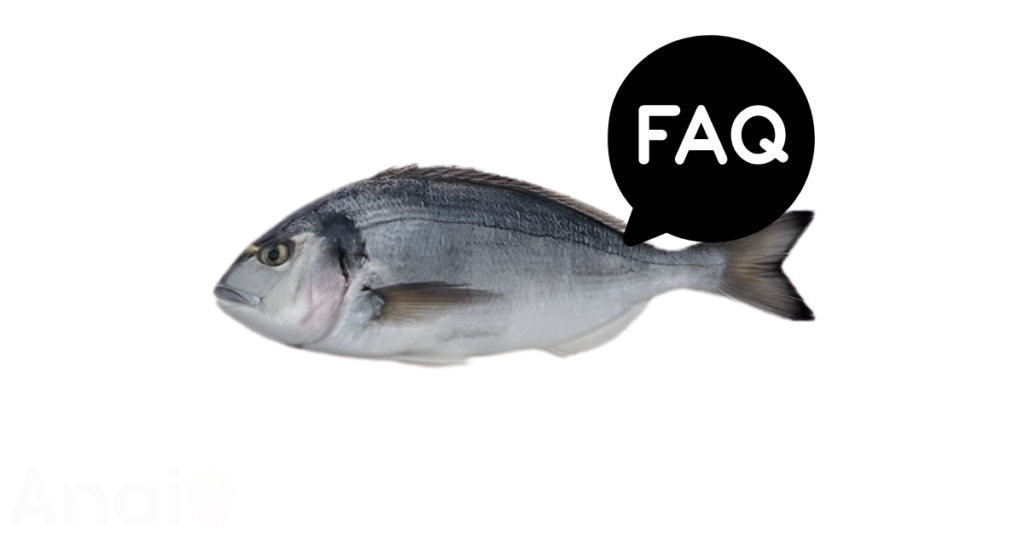 A pic of fresh sea bream next to a black banner for sea bream nutrition FAQs.