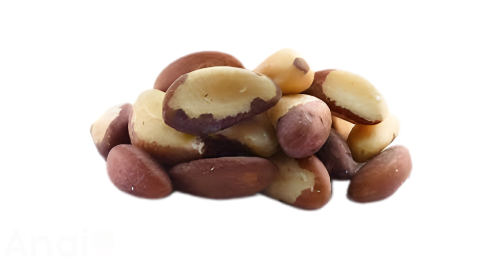A close-up picture of brazil nuts related to brazil nut nutrition facts, in white background.